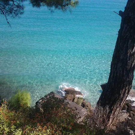 Tasos Lägenhetshotell Chrisi Ammoudia