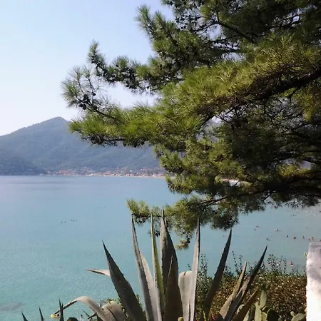 Lägenhetshotell Tasos 3*