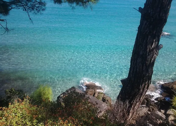 Tasos Apart-hotel Chrysi Ammoudia